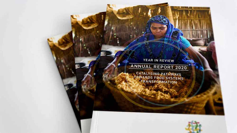 Annual Report 2021 cover