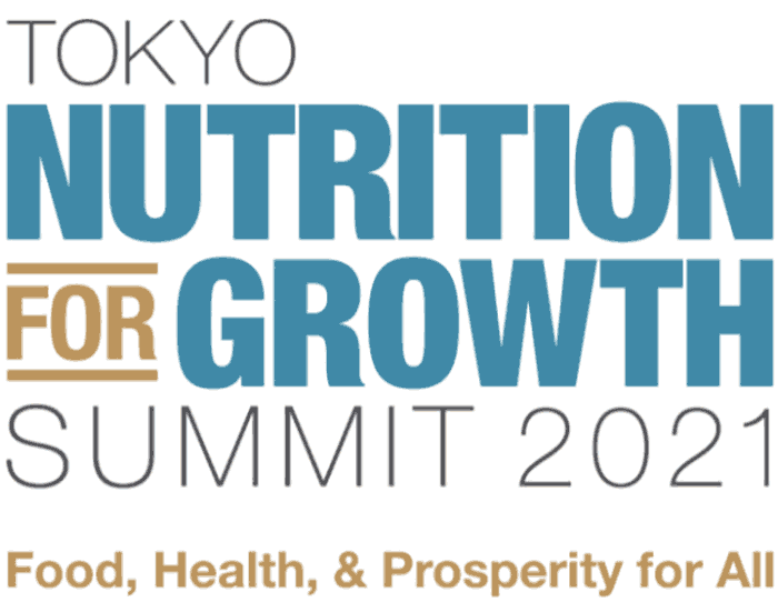 N4G Summit logo