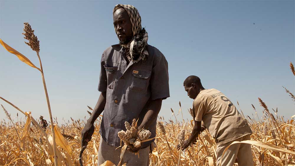 Two African farmers