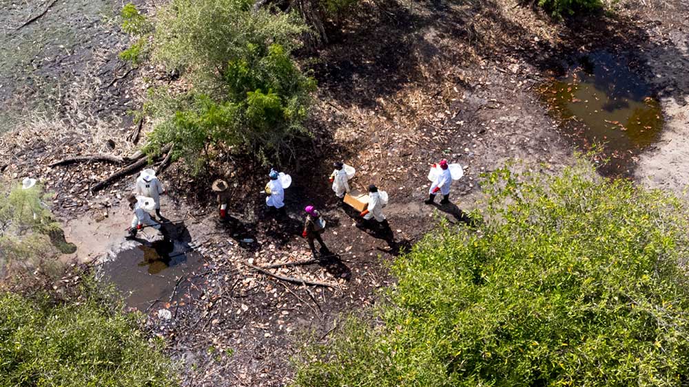 Field research view from above