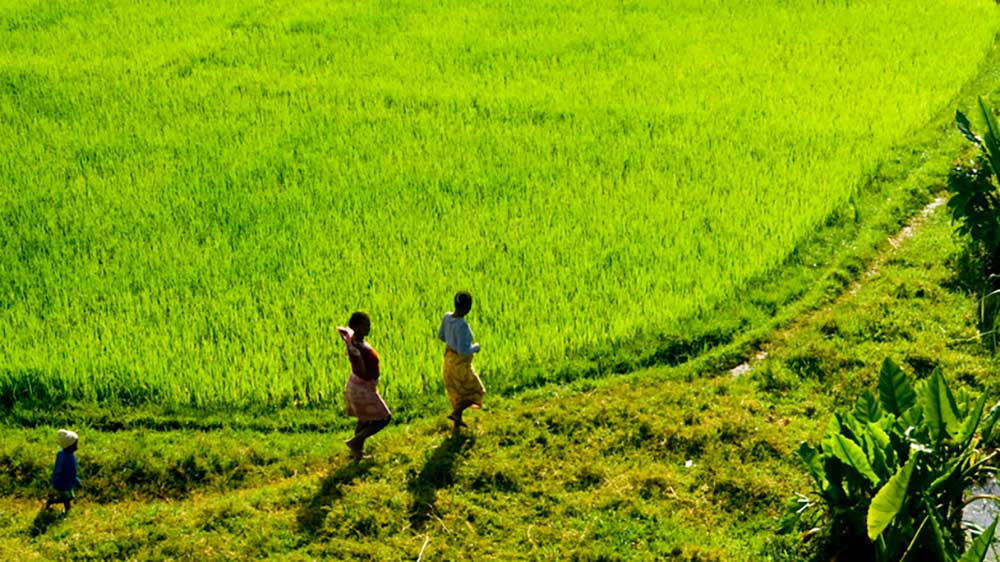 Two women walking around green fields