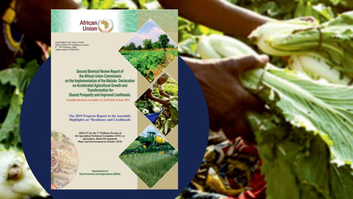 Second Biennial Review Report of the African Union Commission on the ...