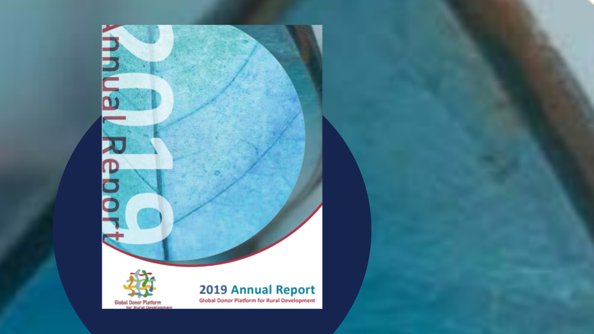 annual 2019