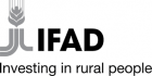 IFAD logo