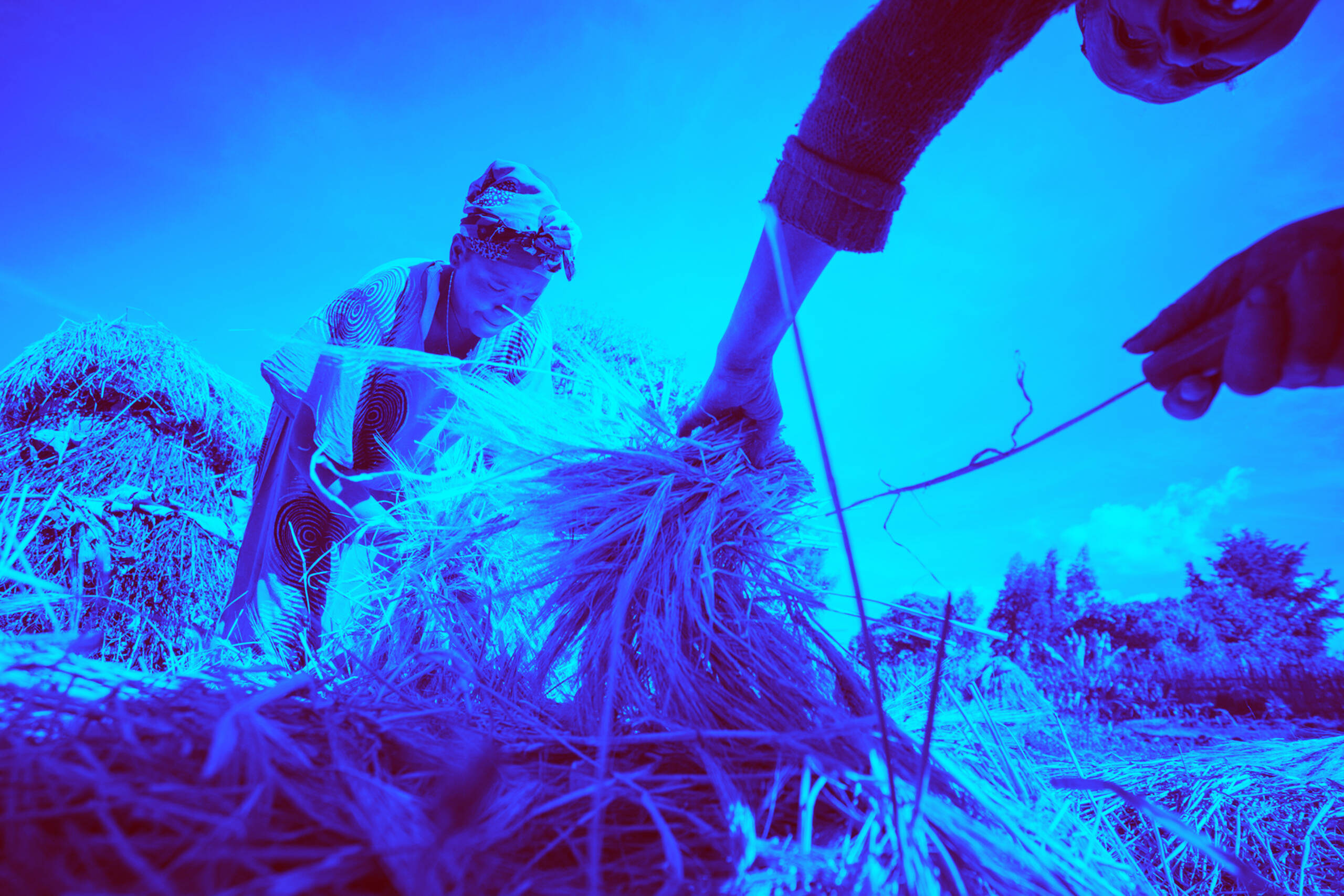 Philippines – Second Cordillera Highland Agricultural Resource M