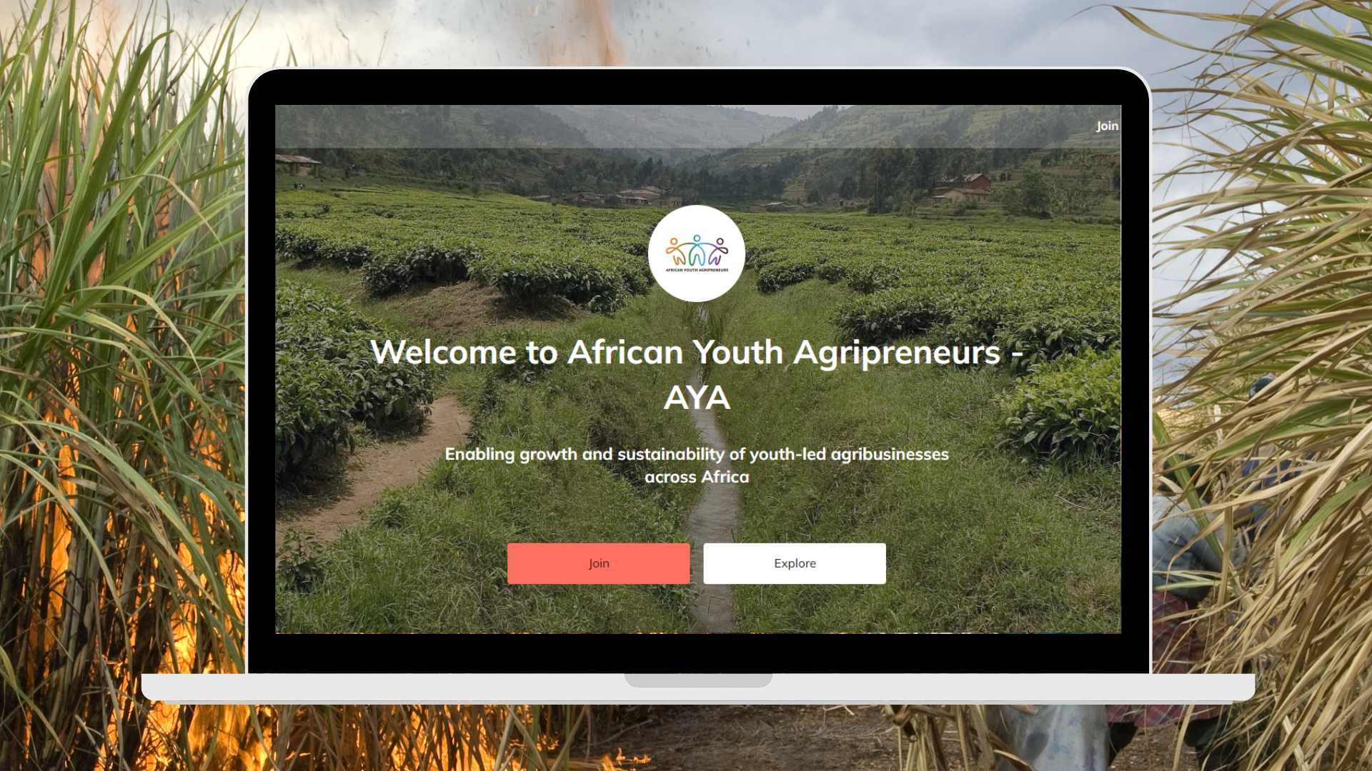 AYA Platform