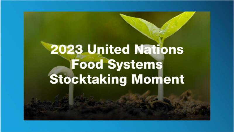 2023 Stocktaking Moment