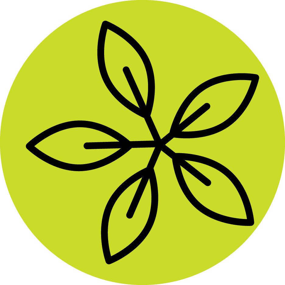 Icon-Circle-Donor-Coordination@3x