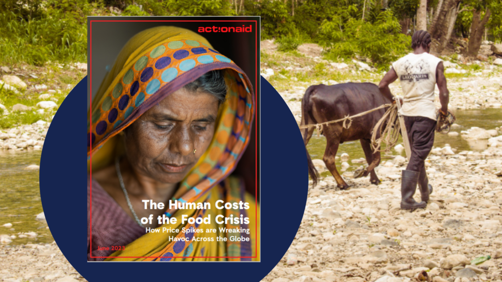 The Human Costs of the Food Crisis: How Price Spikes are Wreaking Havoc
