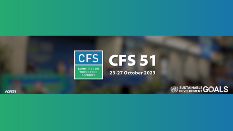 CFS 51 (1)