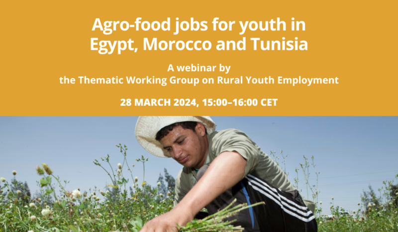 RYE Webinar - Agro-food Jobs for Youth in Egypt, Morocco and Tunisia (1)