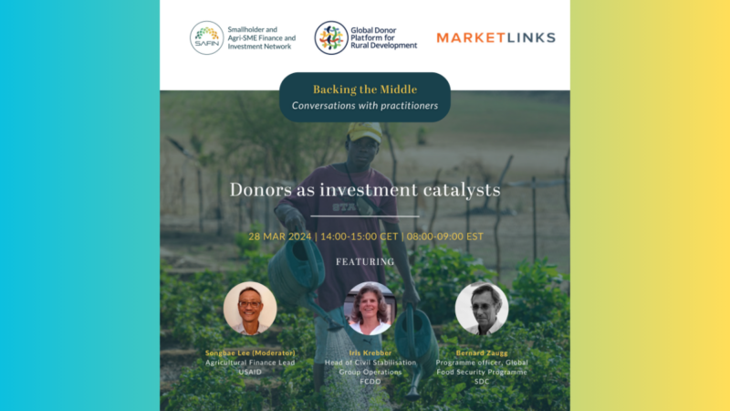 SAFIN Donors as investment catalysts - 28 March 2024