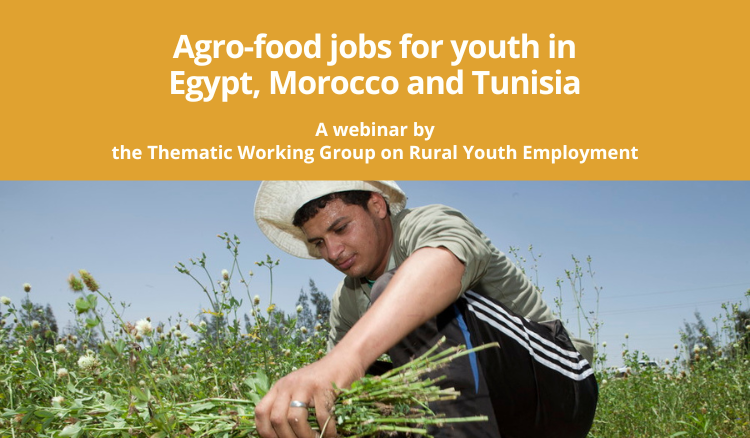 Blog RYE Webinar - Agro-food Jobs for Youth in Egypt, Morocco and Tunisia (4)