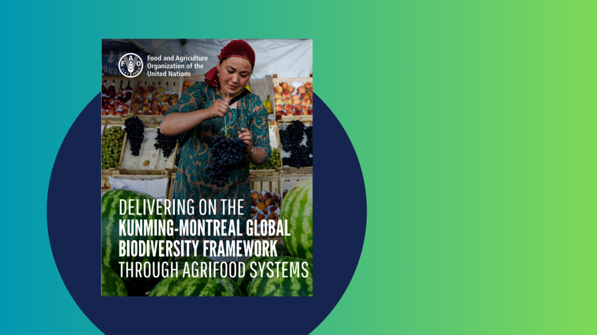 FAO State of Food and Agriculture (SOFA) 2024 Global Donor Platform for Rural Development
