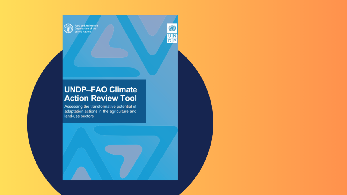 WFP: 2025 Global Outlook - Global Donor Platform for Rural Development