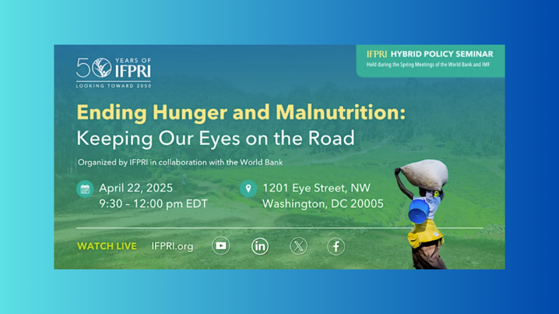 IFPRI Ending Hunger and Malnutrition Keeping our eyes on the road