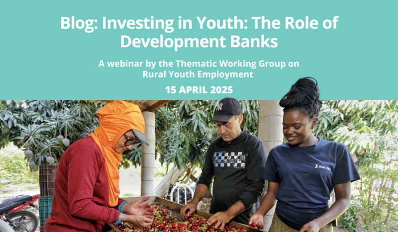 Webinar Blog - Investing in Youth The role of development banks