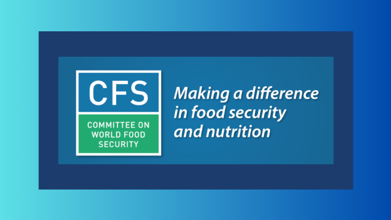 CFS53
