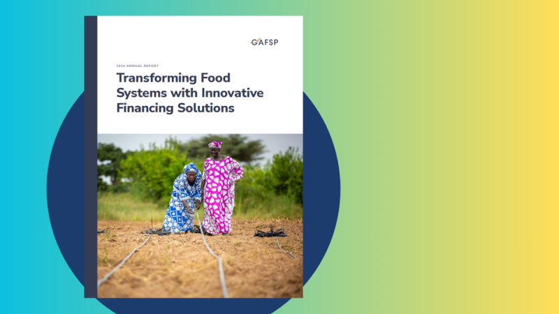 WFP: 2025 Global Outlook - Global Donor Platform for Rural Development