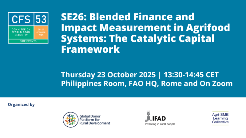 CFS53_SE26_Blended Finance and Impact Measurement in Agrifood Systems (1)