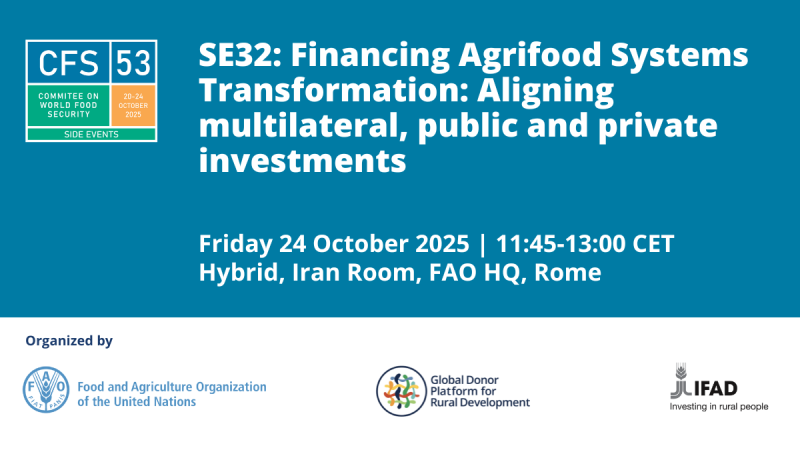 CFS53_SE32_Financing Agrifood Systems Transformation_1200x675