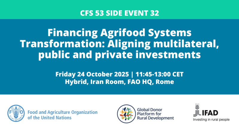 CFS53_SE32_Financing Agrifood Systems Transformation_REV