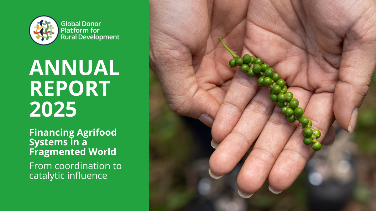 annualreport2021_new